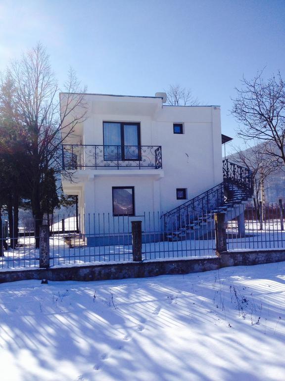 Vila Blanca Alexandru cel Bun Δωμάτιο φωτογραφία