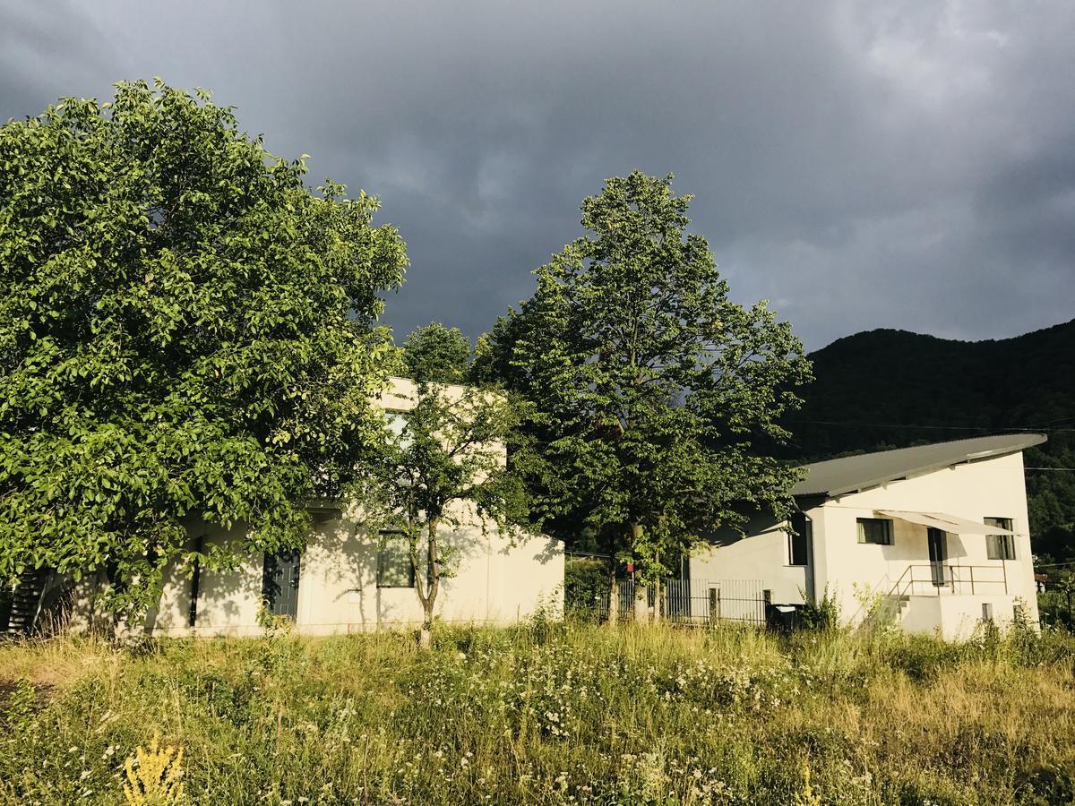 Vila Blanca Alexandru cel Bun Εξωτερικό φωτογραφία